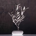 Δεντράκι διακοσμητικό Μυρτιά