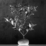 Δεντράκι διακοσμητικό Μυρτιά