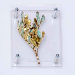 Σχίνος σε πλεξιγκλάς