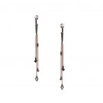 Σκουλαρίκια